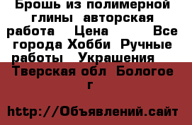 Брошь из полимерной глины, авторская работа. › Цена ­ 900 - Все города Хобби. Ручные работы » Украшения   . Тверская обл.,Бологое г.